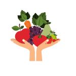 illustration of two hands holding up apples, carrots, grapes, pears and peppers